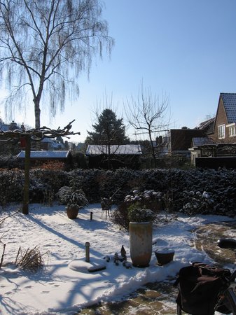 2012 Winter